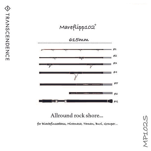 Transcendence Mareflipp102S+(24)