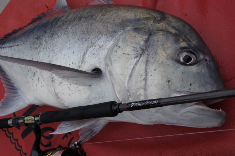 Ripple Fisher  Ultimo 710MH