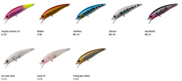 Palms Floating Degree